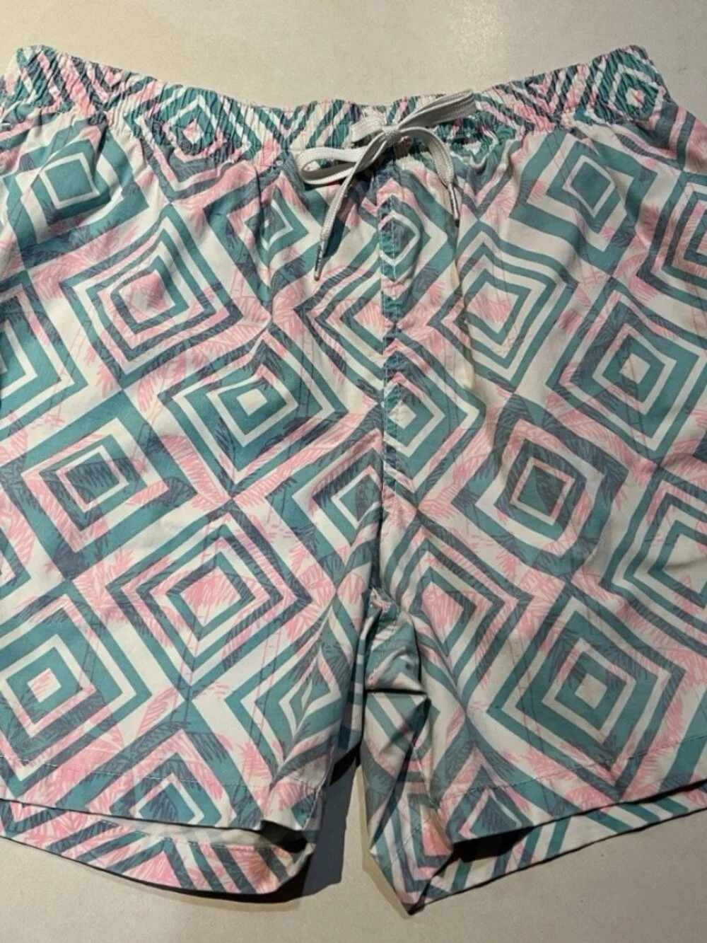 Chubbies Swim 5